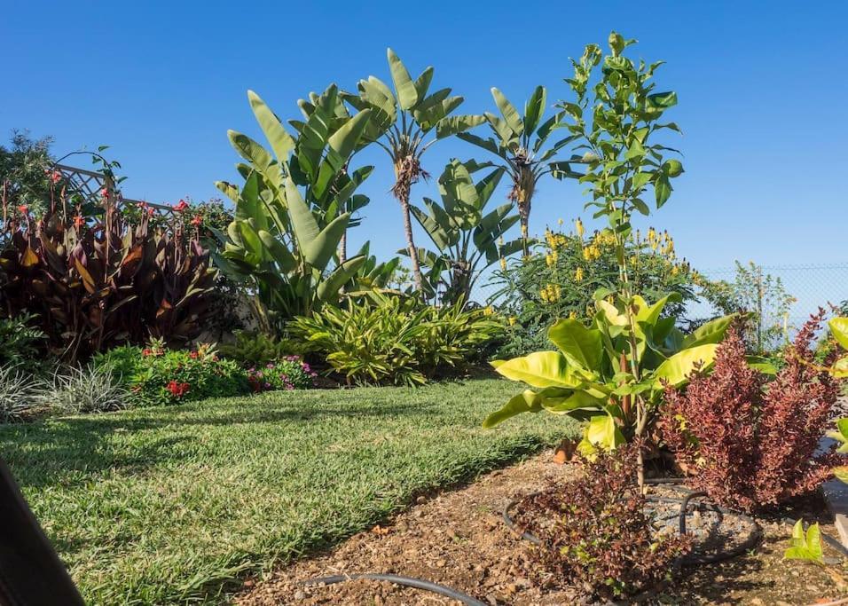 Casa Viña: a spectacular away from it all holiday La Orotava Exterior foto
