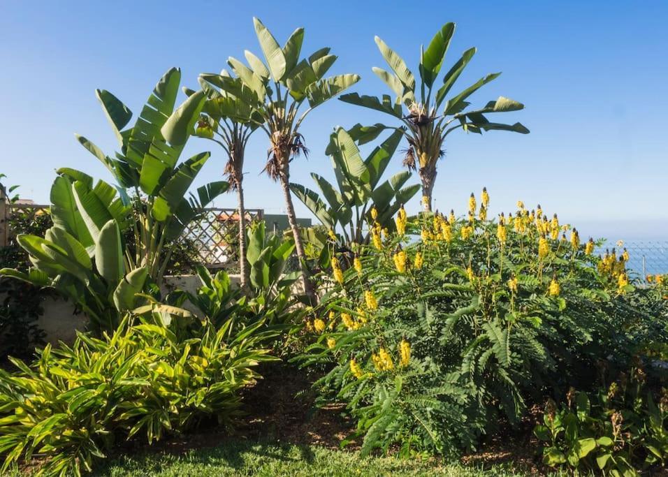 Casa Viña: a spectacular away from it all holiday La Orotava Exterior foto