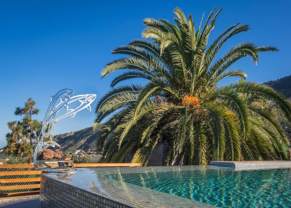 Casa Viña: a spectacular away from it all holiday La Orotava Exterior foto